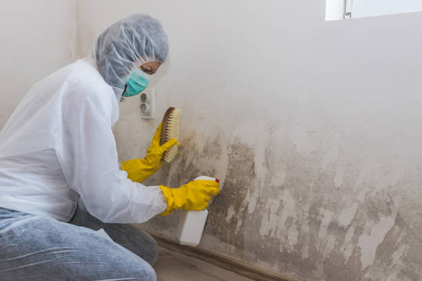 Best Mold Remediation for Vacation Homes  in Prineville, OR