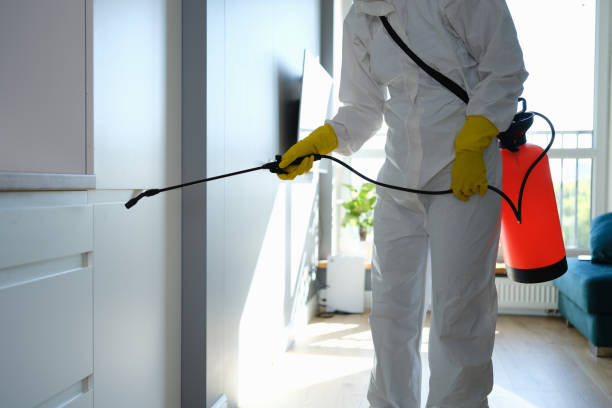 Best Black Mold Removal  in Prineville, OR